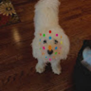 Meet your Posher, Ariana